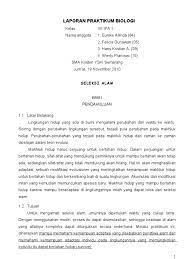 Pengaruh jenis air terhadap pertumbuhan tanaman cabai. Contoh Laporan Penelitian Biologi