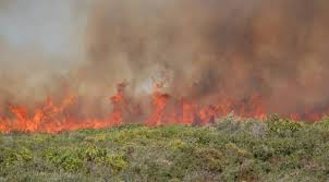 Son dakika efeler yangın haberleri ve efeler yangın haberleri ile ilgili tüm sıcak gelişmeleri sayfamızdan takip edebilirsiniz. Aydin Da Makilik Alanda Cikan Yangin Sonduruldu Son Dakika Haberleri