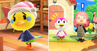City folk on the ds. Animal Crossing The 10 Best Birds Villagers Ranked
