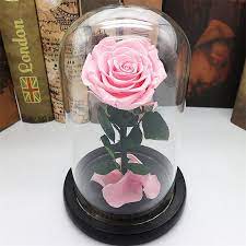 Glass flower stems x 3 foliage stem x1 glass clear bud vase ornament blue green. Pink Rose Immortal Preserved Forever Flower Festive Fresh Rose In Glass Wedding Decorations Centerpiece Gifts Supplies Artificial Dried Flowers Aliexpress
