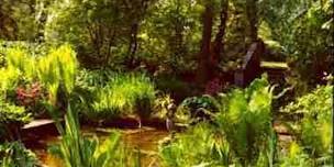 Visit to and tour of Saling Hall gardens