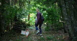 The Forest Turns Japan S Suicide Forest Into An Obstacle Course For Americans The Verge
