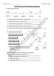 Food Chains And Food Webs Esl Worksheet By Eu G Live Com