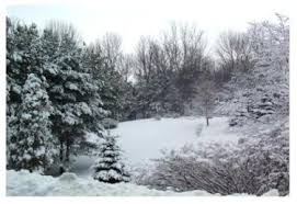 Image result for ontario winter