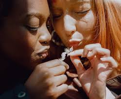 laila a. stevens (@lailaannmarie) • Instagram photos and videos