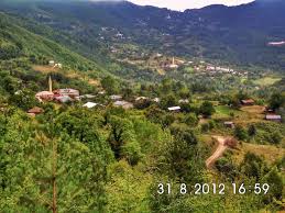 Kastamonu'da şiddetli yağış sele neden oldu. Kastamonu Bozkurt Dursun Koyu Home Facebook
