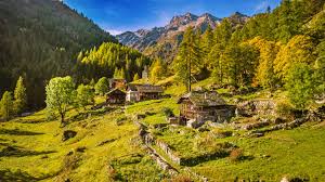 Image result for Vausagesia