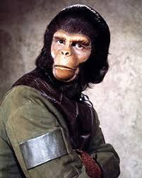Cornelius From Planet Of The Apes 1968 Planet Of The Apes 8x10 Print Hollywood Photography