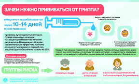 Privivka Ot Grippa Gb2mgn74 Ru