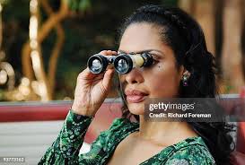 773 Star Of David Flower Stock Photos, High-Res Pictures, and Images