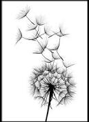 We did not find results for: 16 95