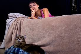 How to tell feral cat behavior. Is Your Cat Meowing At Night Reasons Why And What To Do Catster