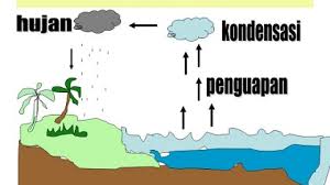 3 Jenis Siklus Air Disertai Gambar Dan Penjelasannya Ilmugeografi Com