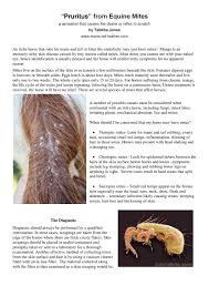 Horses that have a white coat color are often mislabeled; Equine Mites By Mane Tail Feather Issuu