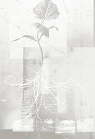 Student Research Poster Display