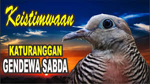 Keris sinom pamor buntel mayit warangka gayaman jogja kode fn2359. Katuranggan Perkutut Buntel Mayit Kalam Kalam Youtube