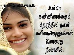 Funny Quotes In Tamil Font Images Funny Images With Quotes Funny Quotes Marriage Quotes Funny