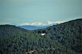 We did not find results for: Visiter Le Massif Des Maures Dans Le Var A 20 Min De Bormes Les Mimosas