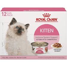 Check spelling or type a new query. Purchase Kitten Food Brands Up To 72 Off
