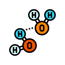 Hydrogen Bonding (A-Level) | Chemistrystudent