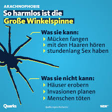 Image result for große winkelspinne biss haut reaktion