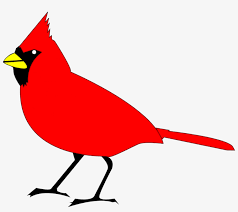 4.5 out of 5 stars 456 ratings. Collection Of Red Bird Clipart Black And White High Cardinal Clipart Free Transparent Png Download Pngkey