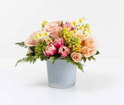 Maybe you would like to learn more about one of these? Apricot Classic Medium In Boston Ma Winston Flowers