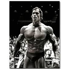 Sign up for my newsletter Modern Canvas Painting Arnold Schwarzenegger Bodybuilding Posters Motivational Quote Art Fitness Inspirational Wall Art Picture Painting Calligraphy Aliexpress