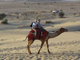 Sekhar menon, tini tom, sabitha jayaraj, binu adimaly, neha ramesh, hashim hussain. Camel Safari In Rajasthan Everything You Need To Know
