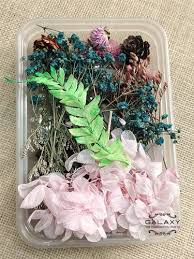 We did not find results for: Natural Flowers And Leaves Pink Green 35 Pieces Dried Flower For Decoration Rs 175 Box Id 23552725633