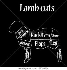 Bulletin of the u s department of agriculture agriculture. Illustration Lamb Vector Photo Free Trial Bigstock