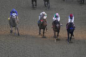 Live odds, betting, horse bios, travel info, tickets, news, and updates from churchill downs race track. Utyvqjcmtsky2m