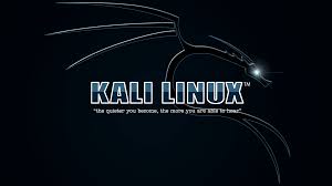 You can choose the image format you need and install it on absolutely any device, be it a smartphone, phone, tablet, computer or laptop. Kali Linux With Its Backtrack Lineage Has A Vibrant And Active Community With Active Kali Forums Irc Channel Kali Tools Listin Linux Kali Linux Hacks Kali