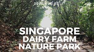 About dairy farm nature park. Where To Go In Singapore 20200802 Dairy Farm Nature Park Youtube