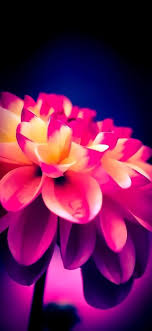 New Ios 11 Wallpaper For Iphone X Leaves Wallpaper Iphone Flower Phone Wallpaper Ombre Wallpaper Iphone