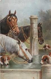 Mucize Karaman Adli Kullanicinin Animals Panosundaki Pin Soyut Sanat Tablolari