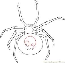 Squid coloring pages getcoloringpages com z6gjcfu awesome page picture … W A Black Widow Spider Step 4 Coloring Page For Kids Free Spider Printable Coloring Pages Online For Kids Coloringpages101 Com Coloring Pages For Kids