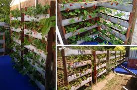 Build this pallet planter wall no matter on concrete or ground. 40 Diy Strawberry Planter Ideas For Container Planting