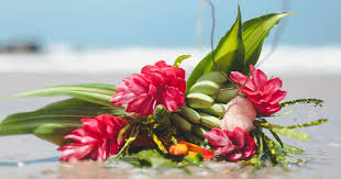 We did not find results for: Flower Care Guide Tropical Flower Bouquets Bouqs Blog