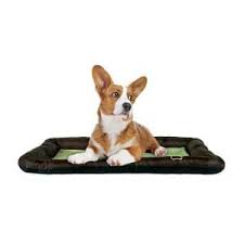 10 best cool pet pads of december 2020. The Best Dog Cooling Mats In 2021 Pawgearlab