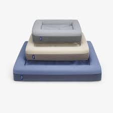 The dog's bed, premium plush orthopaedic memory foam waterproof dog beds, eases pet arthritis & hip dysplasia pain, therapeutic & supportive dog bed. Best Dog Beds According To Dog Experts 2021 The Strategist New York Magazine