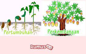 Tabel perbedaan pertumbuhan dan perkembangan. Perbedaan Pertumbuhan Dan Perkembangan Tabel Penjelasan