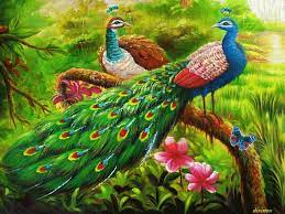 Animated Peacocks Peacock Pictures Beautiful Birds Painting