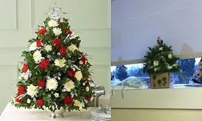 He killed 51 people and injured 40. Pin On Flowers Reviews