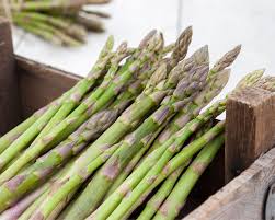 Ein frischer spargel wie eine schwalbe! Grunen Spargel Pflanzen Pflegen Ernten Mein Schoner Garten