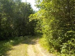 This place is an entertainers delight! Siren Wi Homes For Sale Real Estate By Homes Com