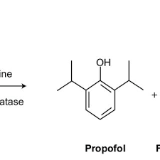 Image result for Fospropofol