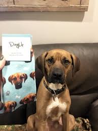 Easily create custom cat socks by simply uploading your favorite picture of your cat, we will design and ship your socks next business day. Divvyup Socks Review 2020 Why They Re The Best Custom Face Socks Brand