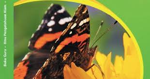 Jan 02, 2019 · buku smp january 02, 2019 16:49. Buku Guru Kurikulum 2013 Ipa Smp Mts Kelas 9 Edisi Revisi 2018 Dadang Jsn