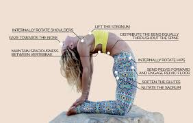 Ustrasana The Subtlety Of Heart Opening Omstars